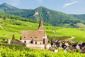 Alsace wine route