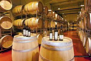 lacerta_wine_tasting_tour1