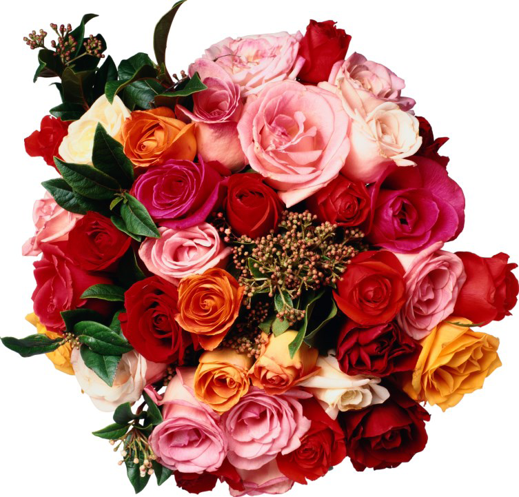 newsletter 112015