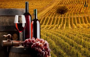 wine
