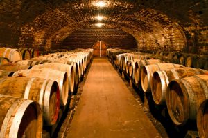 wine cellar